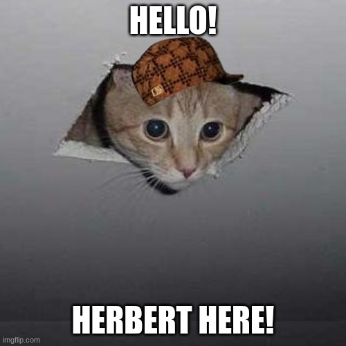 Ceiling Cat | HELLO! HERBERT HERE! | image tagged in memes,ceiling cat | made w/ Imgflip meme maker