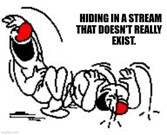 LOL Hysterically | HIDING IN A STREAM
THAT DOESN'T REALLY
EXIST. | image tagged in lol hysterically | made w/ Imgflip meme maker