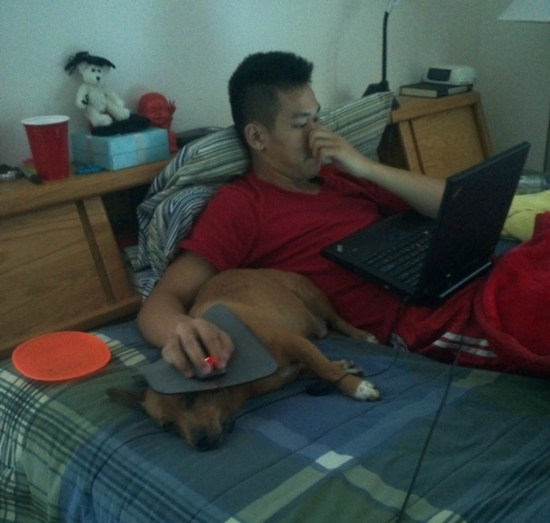 Mousepad? Dogpad. | image tagged in funny,dogs,computers/electronics