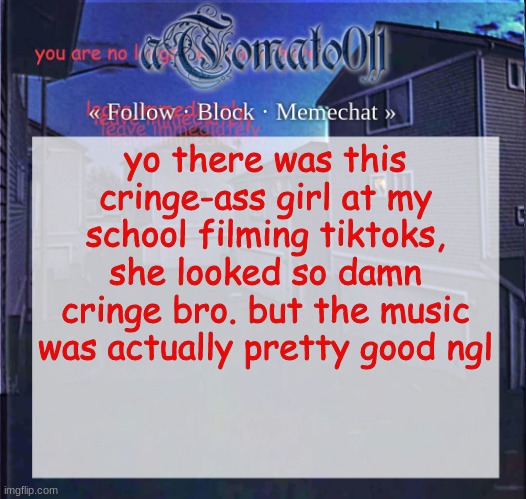 aTomato011 | yo there was this cringe-ass girl at my school filming tiktoks, she looked so damn cringe bro. but the music was actually pretty good ngl | image tagged in atomato011 | made w/ Imgflip meme maker