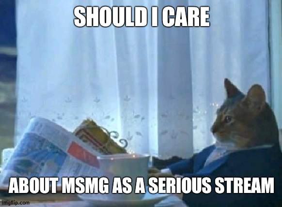 Its too gooflarious at times | SHOULD I CARE; ABOUT MSMG AS A SERIOUS STREAM | image tagged in memes,i should buy a boat cat | made w/ Imgflip meme maker