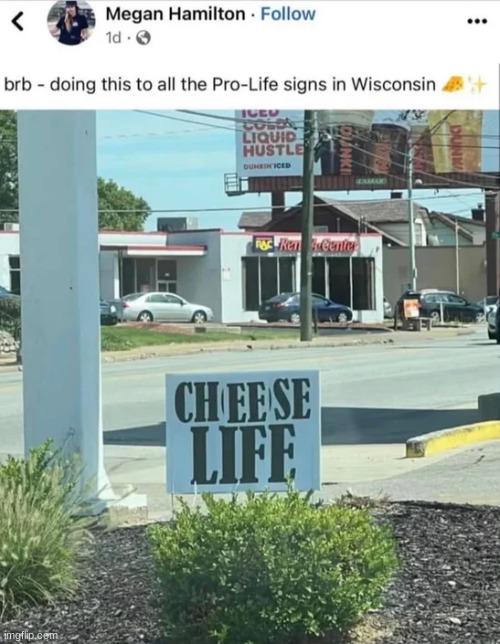 Cheese life | image tagged in abortion,politics,funny | made w/ Imgflip meme maker