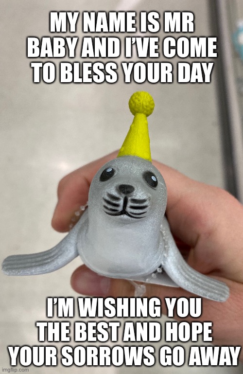 Wholesome meme | MY NAME IS MR BABY AND I’VE COME TO BLESS YOUR DAY; I’M WISHING YOU THE BEST AND HOPE YOUR SORROWS GO AWAY | image tagged in wholesome,wait a second this is wholesome content,seal,cute,have a nice day | made w/ Imgflip meme maker