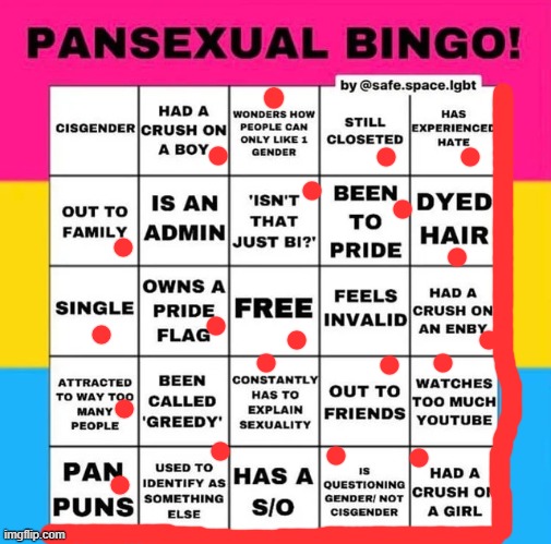 bingos on the borders. | image tagged in pansexual bingo,pansexual | made w/ Imgflip meme maker