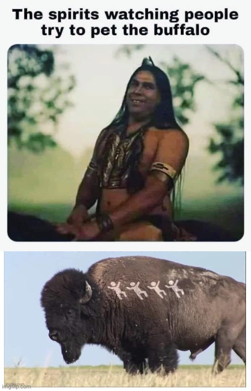 Native Spirits laughing over buffalo | image tagged in native dont pet the buffalo | made w/ Imgflip meme maker