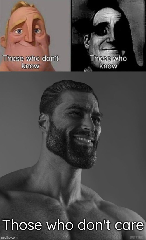 Those who don't care | image tagged in giga chad | made w/ Imgflip meme maker