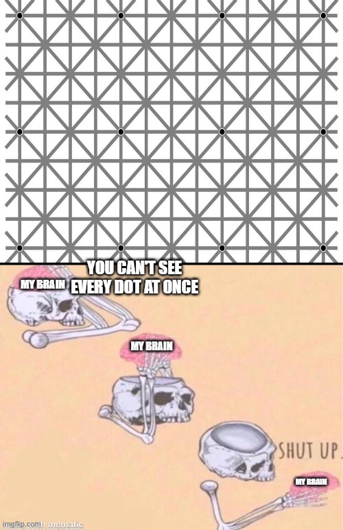 i don't know if its funny | YOU CAN'T SEE EVERY DOT AT ONCE; MY BRAIN; MY BRAIN; MY BRAIN | image tagged in skeleton shut up meme,illusion,funny,meme,memes,funny memes | made w/ Imgflip meme maker