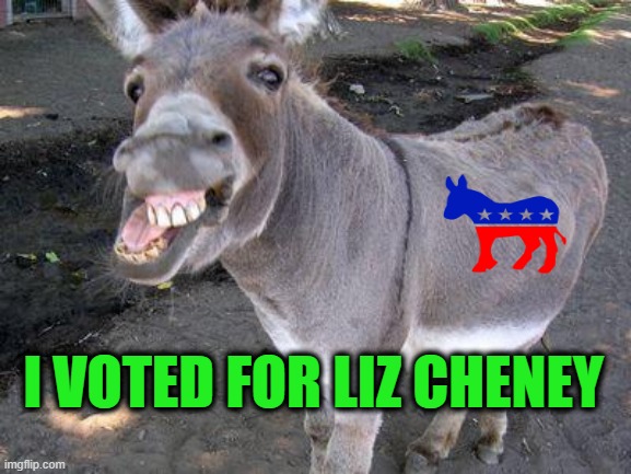Hee Haw: There's Always Cheney for Prez 2024 | I VOTED FOR LIZ CHENEY | image tagged in dem jackass,liz cheney | made w/ Imgflip meme maker