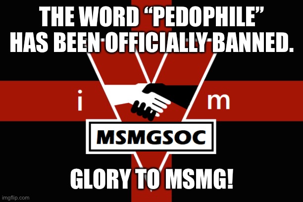 MSMGSOC flag | THE WORD “PEDOPHILE” HAS BEEN OFFICIALLY BANNED. GLORY TO MSMG! | image tagged in msmgsoc flag | made w/ Imgflip meme maker