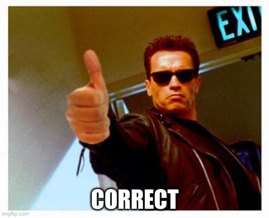terminator thumbs up | CORRECT | image tagged in terminator thumbs up | made w/ Imgflip meme maker