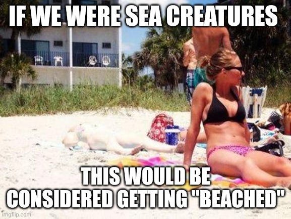 random thoughts of the day | IF WE WERE SEA CREATURES; THIS WOULD BE CONSIDERED GETTING "BEACHED" | image tagged in irish sunbathing | made w/ Imgflip meme maker