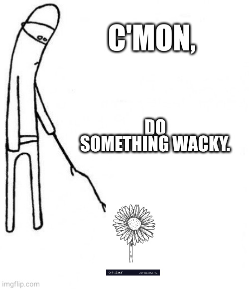 c'mon do something | C'MON, DO SOMETHING WACKY. | image tagged in c'mon do something | made w/ Imgflip meme maker