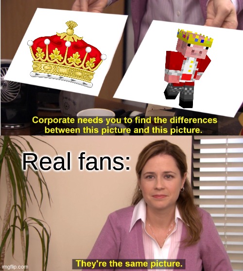 R.I.P?? |  Real fans: | image tagged in memes,they're the same picture,rip,technoblade | made w/ Imgflip meme maker