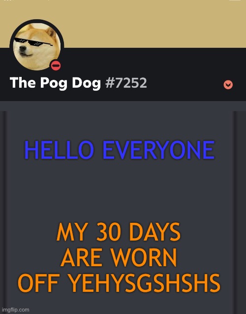 epic doggos epic discord temp | HELLO EVERYONE; MY 30 DAYS ARE WORN OFF YEHYSGSHSHS | image tagged in epic doggos epic discord temp | made w/ Imgflip meme maker