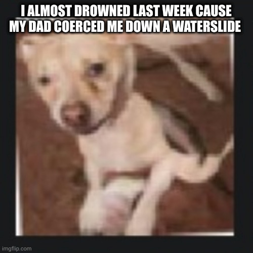 wank dog | I ALMOST DROWNED LAST WEEK CAUSE MY DAD COERCED ME DOWN A WATERSLIDE | image tagged in wank dog | made w/ Imgflip meme maker
