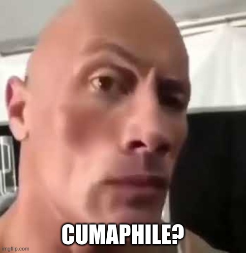 The Rock Eyebrows | CUMAPHILE? | image tagged in the rock eyebrows | made w/ Imgflip meme maker