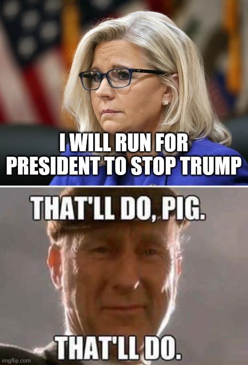 Liz "babe Lincoln" Cheney | I WILL RUN FOR PRESIDENT TO STOP TRUMP | image tagged in liz cheney,that'll do pig that'll do | made w/ Imgflip meme maker