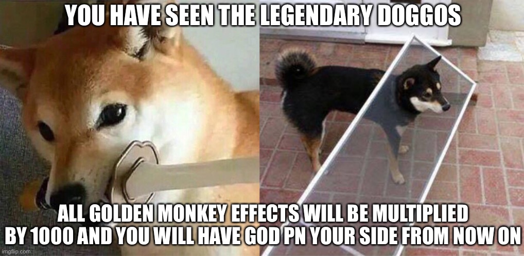 YOU HAVE SEEN THE LEGENDARY DOGGOS ALL GOLDEN MONKEY EFFECTS WILL BE MULTIPLIED BY 1000 AND YOU WILL HAVE GOD ON YOUR SIDE FROM NOW ON | made w/ Imgflip meme maker