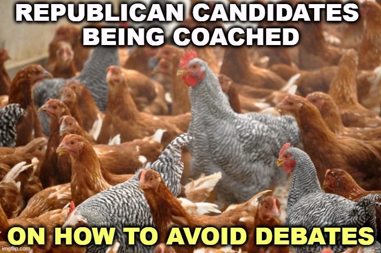 Chickens | REPUBLICAN CANDIDATES 
BEING COACHED; ON HOW TO AVOID DEBATES | image tagged in republicans,candidates,chicken,afraid,debate | made w/ Imgflip meme maker