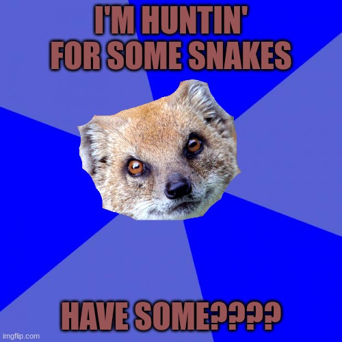 Endangered Mad Mongoose Meme | I'M HUNTIN' FOR SOME SNAKES; HAVE SOME???? | image tagged in memes,blank blue background,snakes,hunting,furry | made w/ Imgflip meme maker