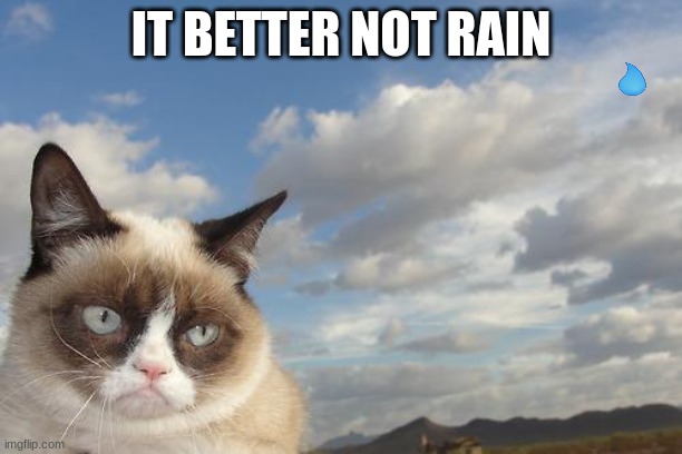 Grumpy Cat Sky | IT BETTER NOT RAIN | image tagged in memes,grumpy cat sky,grumpy cat | made w/ Imgflip meme maker