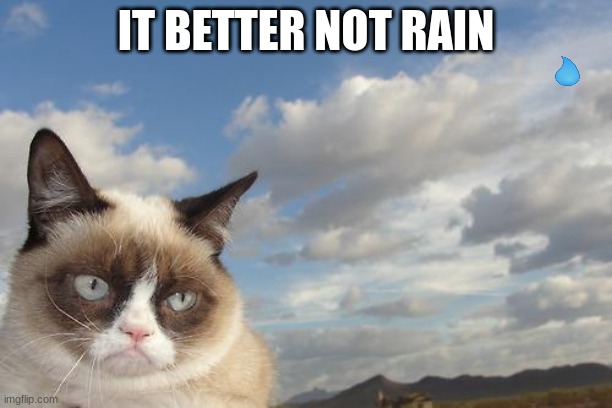 Grumpy Cat Sky Meme | IT BETTER NOT RAIN | image tagged in memes,grumpy cat sky,grumpy cat | made w/ Imgflip meme maker