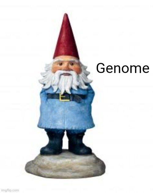 gnome | Genome | image tagged in gnome | made w/ Imgflip meme maker