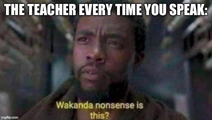 Wakanda Nonsense Is This? | THE TEACHER EVERY TIME YOU SPEAK: | image tagged in wakanda nonsense is this | made w/ Imgflip meme maker