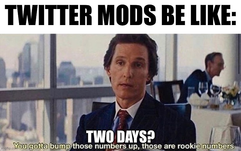 You gotta bump those numbers up those are rookie numbers | TWITTER MODS BE LIKE: TWO DAYS? | image tagged in you gotta bump those numbers up those are rookie numbers | made w/ Imgflip meme maker