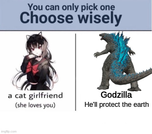 Godzilla; He'll protect the earth | image tagged in choose wisely | made w/ Imgflip meme maker