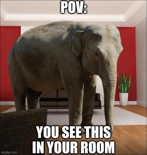 Elephant In The Room | POV:; YOU SEE THIS IN YOUR ROOM | image tagged in elephant in the room | made w/ Imgflip meme maker