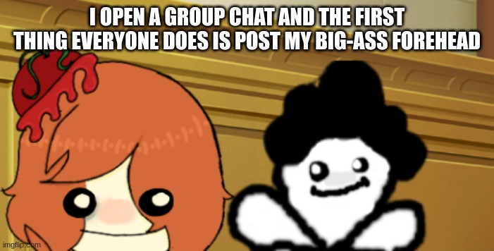 double bup | I OPEN A GROUP CHAT AND THE FIRST THING EVERYONE DOES IS POST MY BIG-ASS FOREHEAD | image tagged in double bup | made w/ Imgflip meme maker