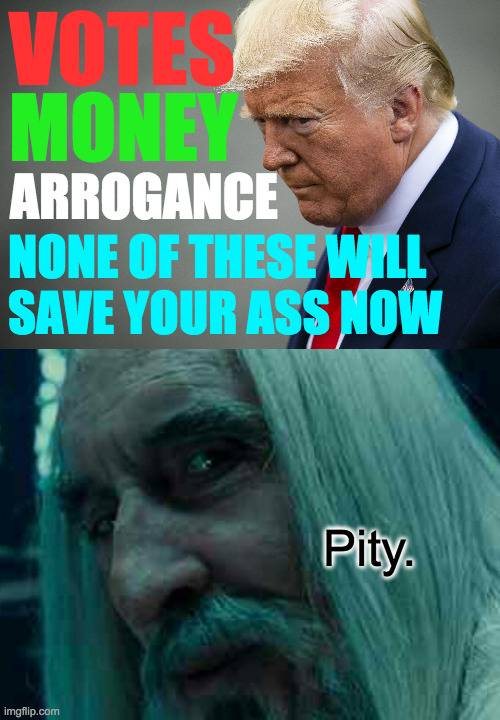 Loser: someone who squanders control for meaningless gains. | VOTES; MONEY; ARROGANCE; NONE OF THESE WILL
SAVE YOUR ASS NOW; Pity. | image tagged in memes,loser trump,biden is a winner | made w/ Imgflip meme maker