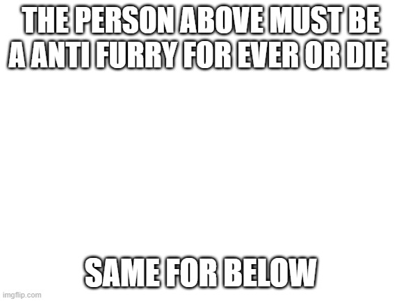 Blank White Template | THE PERSON ABOVE MUST BE A ANTI FURRY FOR EVER OR DIE; SAME FOR BELOW | image tagged in blank white template | made w/ Imgflip meme maker
