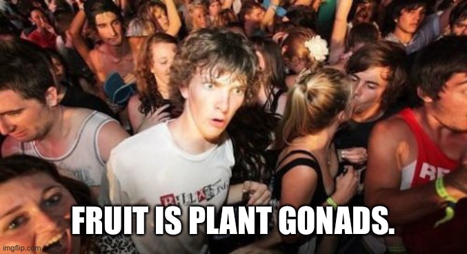 Sudden Clarity Clarence | FRUIT IS PLANT GONADS. | image tagged in memes,sudden clarity clarence | made w/ Imgflip meme maker