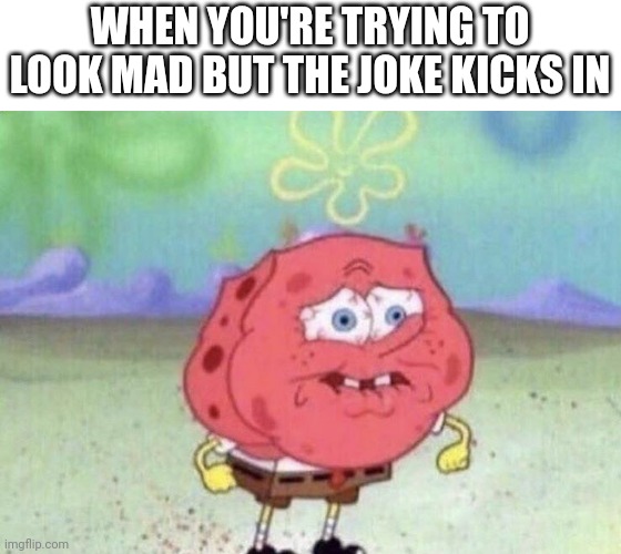 Mad boi | WHEN YOU'RE TRYING TO LOOK MAD BUT THE JOKE KICKS IN | image tagged in spongebob holding breath,mad | made w/ Imgflip meme maker