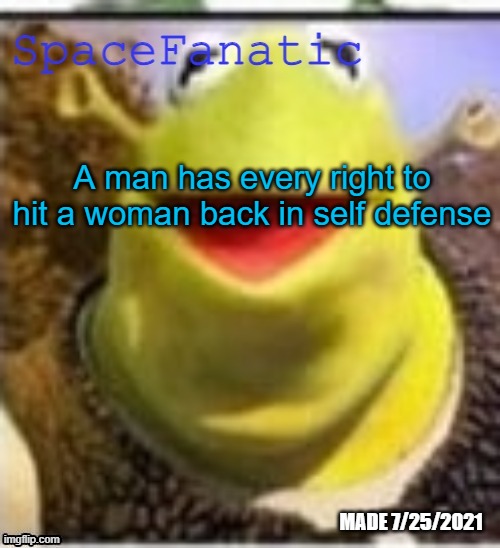 Ye Olde Announcements | A man has every right to hit a woman back in self defense | image tagged in spacefanatic announcement temp | made w/ Imgflip meme maker