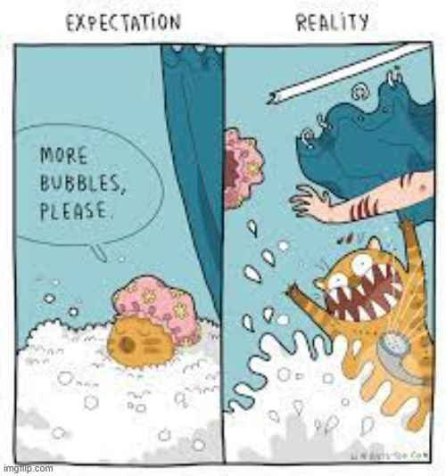 It's Bath Time! | image tagged in memes,comics,cats,bath time,expectations,reality | made w/ Imgflip meme maker