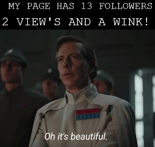 TALK ABOUT PAGE BEING ON FIRE! | MY PAGE HAS 13 FOLLOWERS; 2 VIEW'S AND A WINK! | image tagged in oh it's beautiful,meme | made w/ Imgflip meme maker