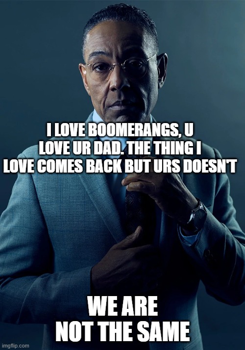 We are not the same | I LOVE BOOMERANGS, U LOVE UR DAD. THE THING I LOVE COMES BACK BUT URS DOESN'T; WE ARE NOT THE SAME | image tagged in we are not the same | made w/ Imgflip meme maker