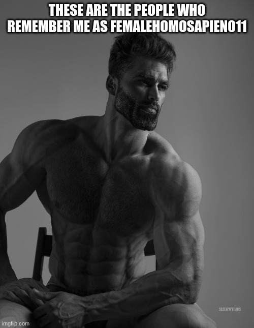 Giga Chad | THESE ARE THE PEOPLE WHO REMEMBER ME AS FEMALEHOMOSAPIEN011 | image tagged in giga chad | made w/ Imgflip meme maker