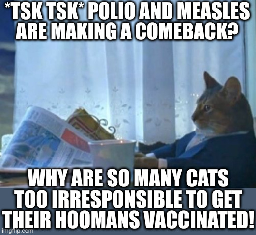 I Should Buy A Boat Cat | *TSK TSK* POLIO AND MEASLES
ARE MAKING A COMEBACK? WHY ARE SO MANY CATS
TOO IRRESPONSIBLE TO GET
THEIR HOOMANS VACCINATED! | image tagged in memes,i should buy a boat cat | made w/ Imgflip meme maker