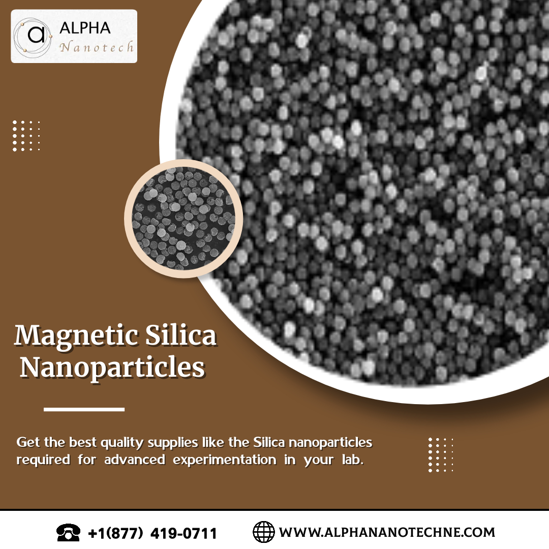 Magnetic Silica Nanoparticles Blank Meme Template