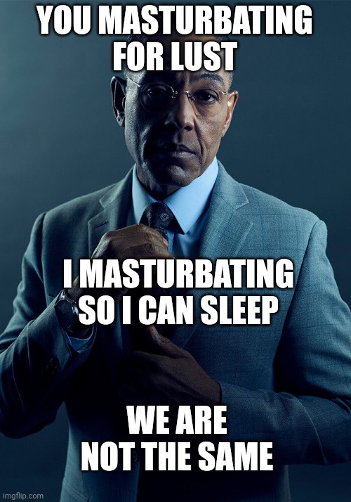 Gus Fring we are not the same | YOU MASTURBATING FOR LUST I MASTURBATING SO I CAN SLEEP WE ARE NOT THE SAME | image tagged in gus fring we are not the same | made w/ Imgflip meme maker