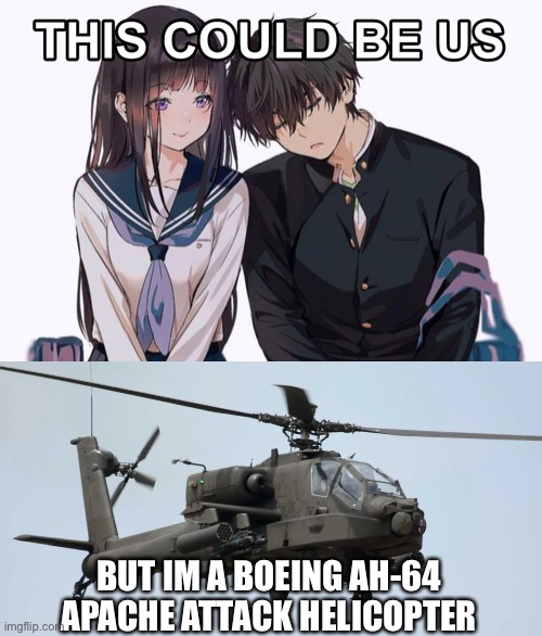 BUT IM A BOEING AH-64 APACHE ATTACK HELICOPTER | image tagged in american chopper,chopper | made w/ Imgflip meme maker