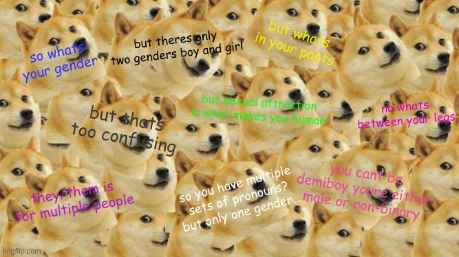 things i hear as a bi-demiromantic asexual demiboy/non-binary kid hears all the time | but whats in your pants; but theres only two genders boy and girl; so whats your gender; but sexual attraction is what makes you human; no whats between your legs; but thats too confusing; you cant be demiboy youre either male or non-binary; so you have multiple sets of pronouns? but only one gender... they/them is for multiple people | image tagged in memes,multi doge | made w/ Imgflip meme maker