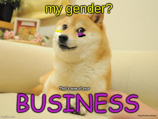 yes im demiboy/non-binary. why do you want to know whats in my pants? ewww, im asexual! | my gender? That's none of your; BUSINESS; BingotheAsexualDingo | image tagged in memes,doge 2 | made w/ Imgflip meme maker
