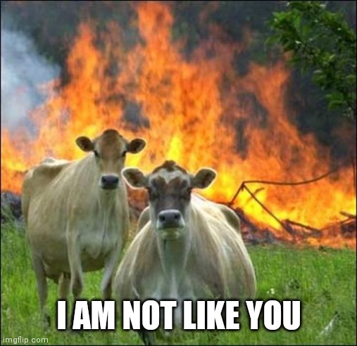 Evil Cows Meme | I AM NOT LIKE YOU | image tagged in memes,evil cows | made w/ Imgflip meme maker