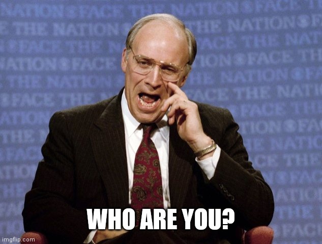 Dick Cheney  | WHO ARE YOU? | image tagged in dick cheney | made w/ Imgflip meme maker