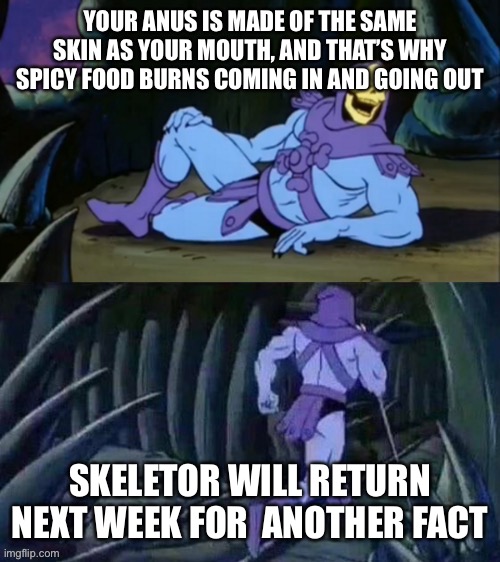 Here’s A Wholesome Fact | YOUR ANUS IS MADE OF THE SAME SKIN AS YOUR MOUTH, AND THAT’S WHY SPICY FOOD BURNS COMING IN AND GOING OUT; SKELETOR WILL RETURN NEXT WEEK FOR  ANOTHER FACT | image tagged in skeletor disturbing facts | made w/ Imgflip meme maker